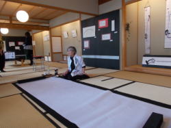 �������q